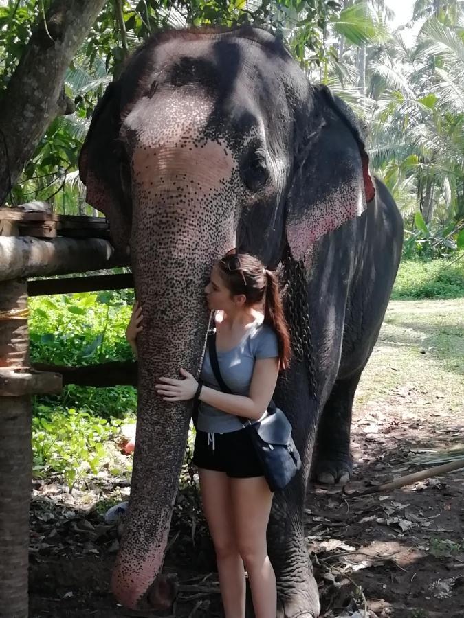 Rainbow Beach Resort Ambalangoda  Eksteriør billede