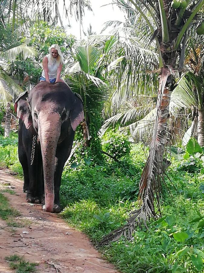 Rainbow Beach Resort Ambalangoda  Eksteriør billede